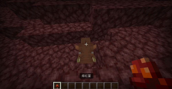 试爱旅行团 回到现实后仍需面对日常磨合