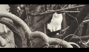 寸止图文 寸止图文寸止图文对不起