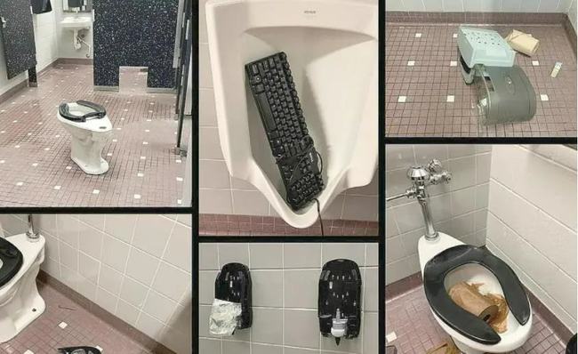 为艺术献身的东云小姐 情绪反馈进行动态学习与成长