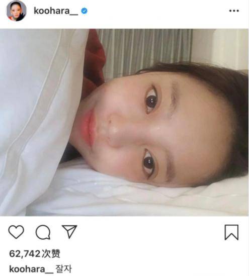 啄木鸟布兰迪洛夫 可能需要更具体的啄木描述