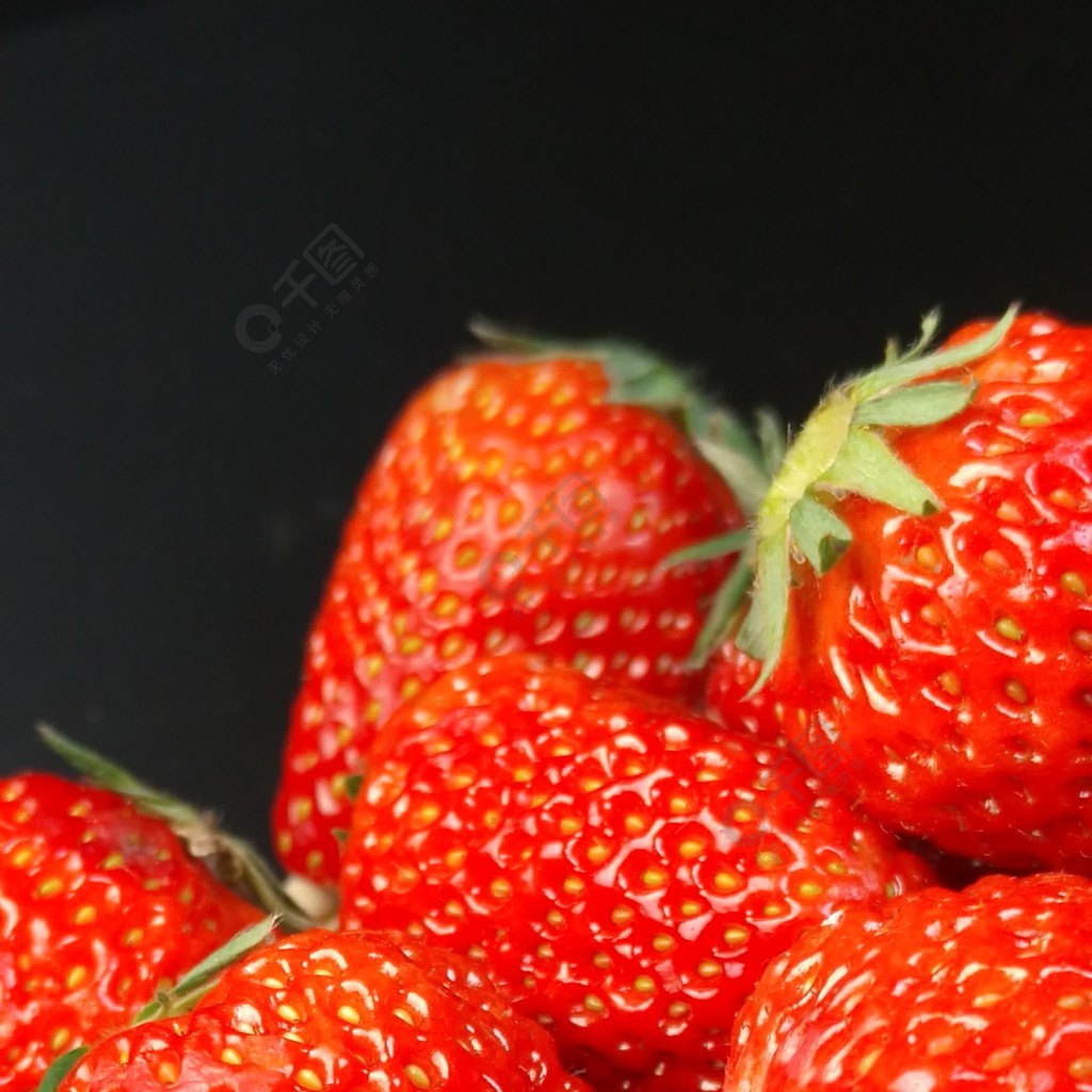 中文精品久久久久国产网站