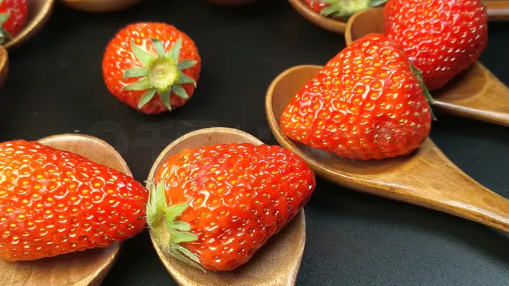 九九99久久精品在免费线bt