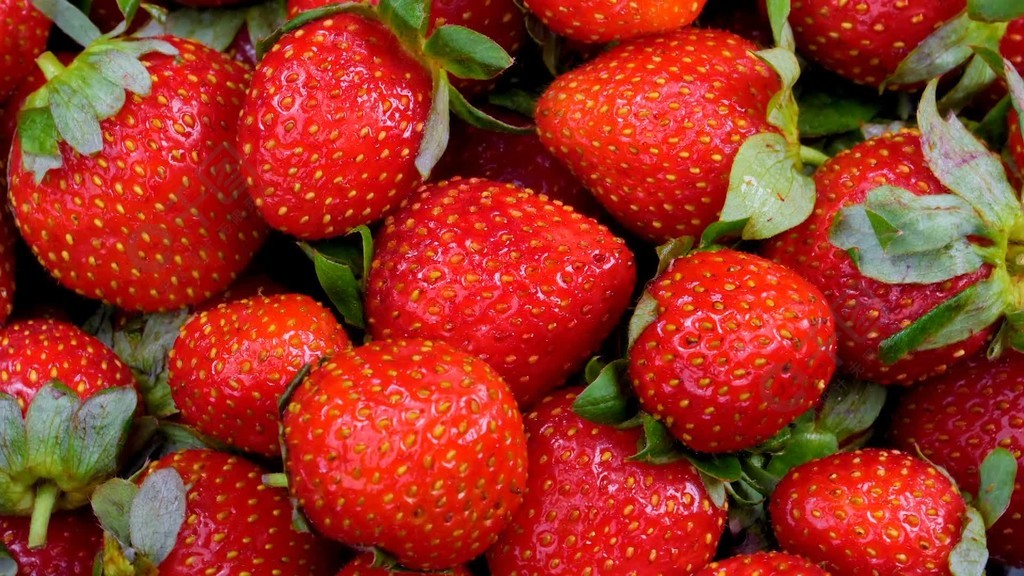 河南程锦新能源有限公司 招标