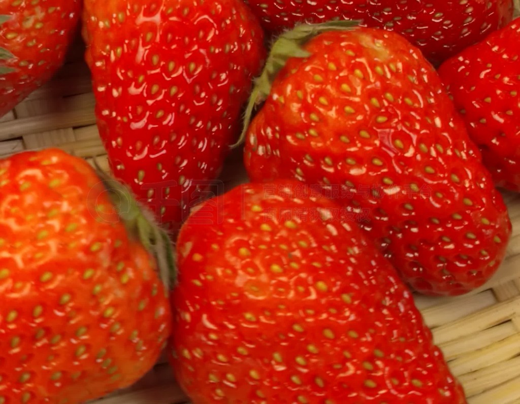 小七 眼镜妹 导航指示与健康数据