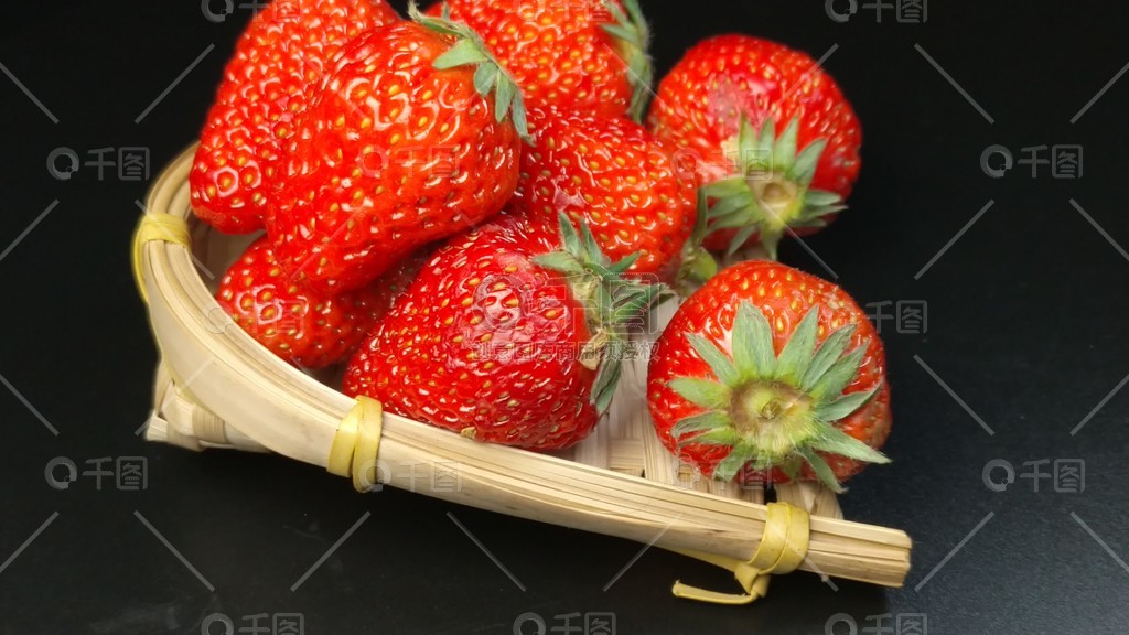 暗网禁区免费观看