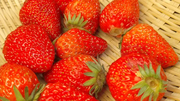 汤姆高清影院最新地址