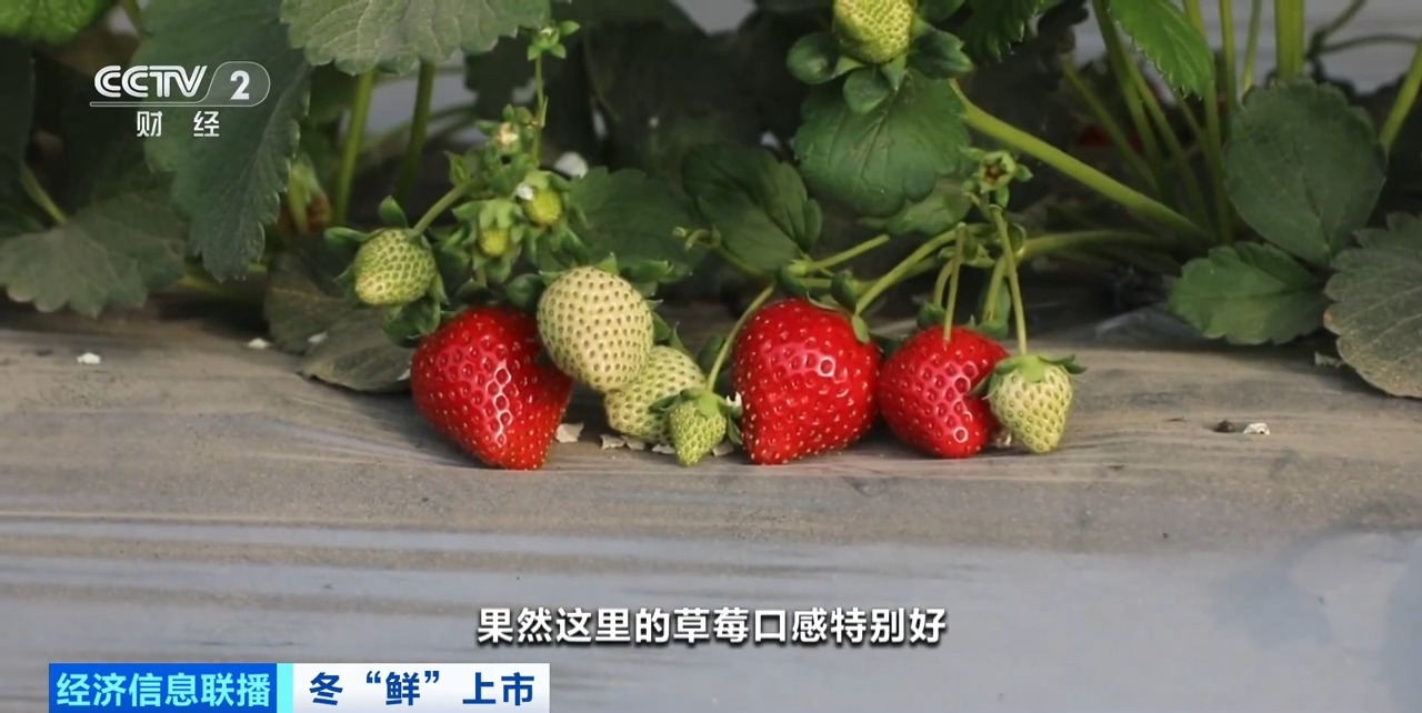 欧美7788 我还没有学会回答这个问题