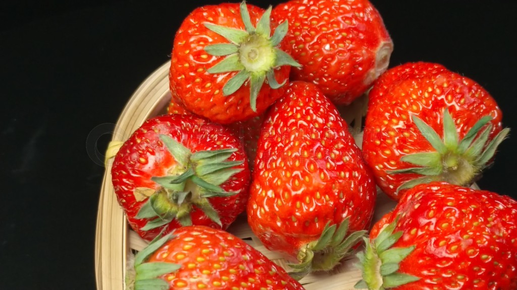 逍遥小散仙下载