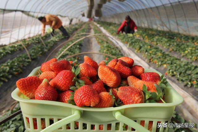 妲己3d同人动漫 我还没有学会回答这个问题