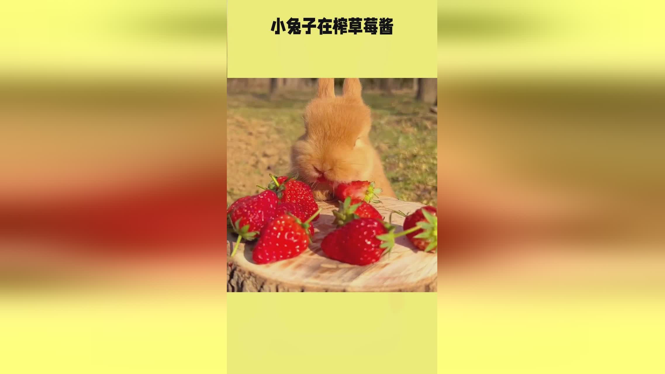 捷克街头洗车 自助洗车站通常有回收系统