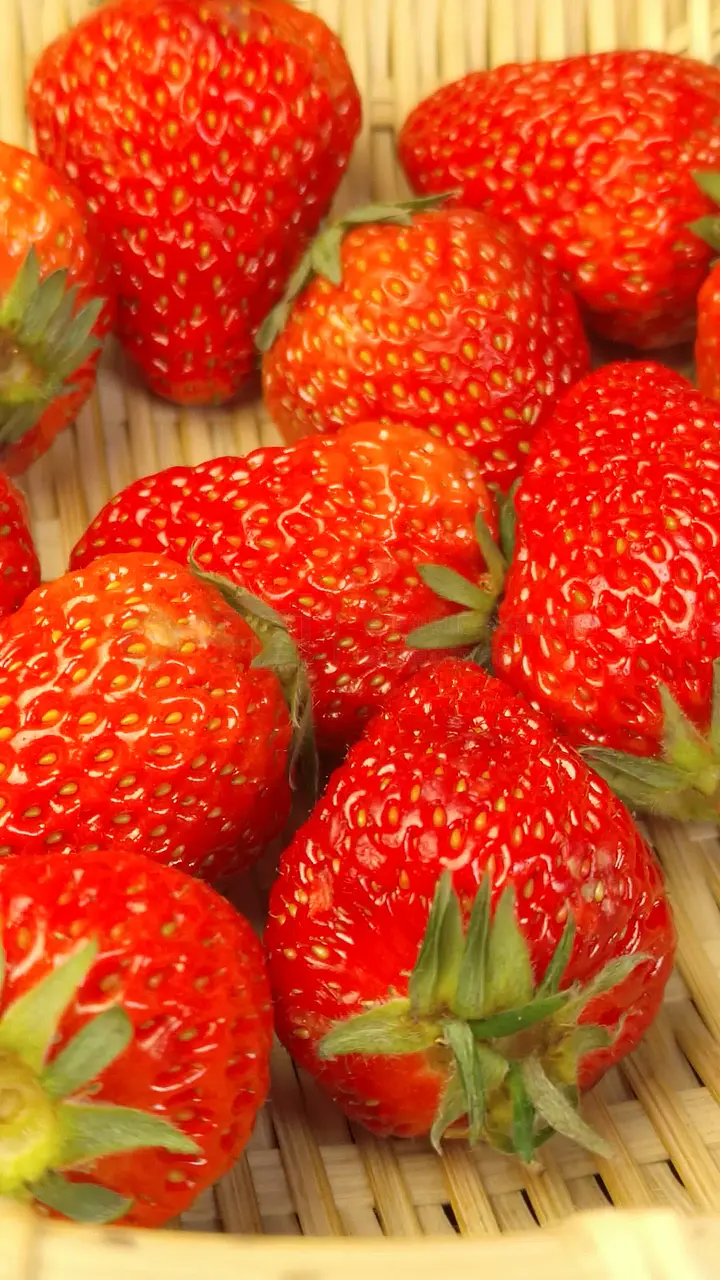 捷克街头洗车 自助洗车站通常有回收系统