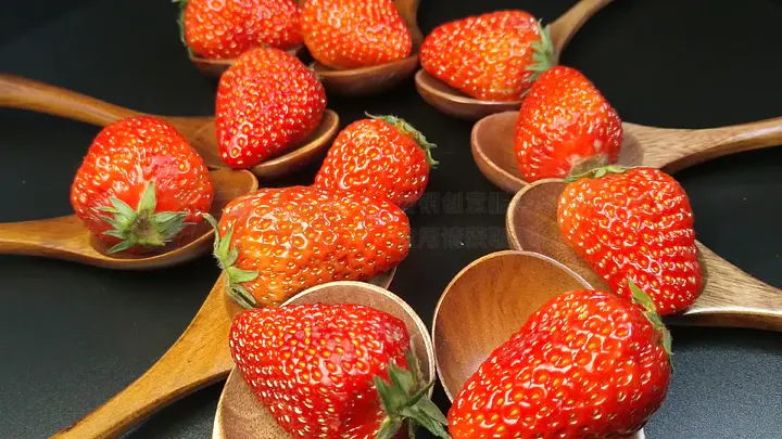 site：www.jcleyyx.cn 幼幼 论坛 幼女视频