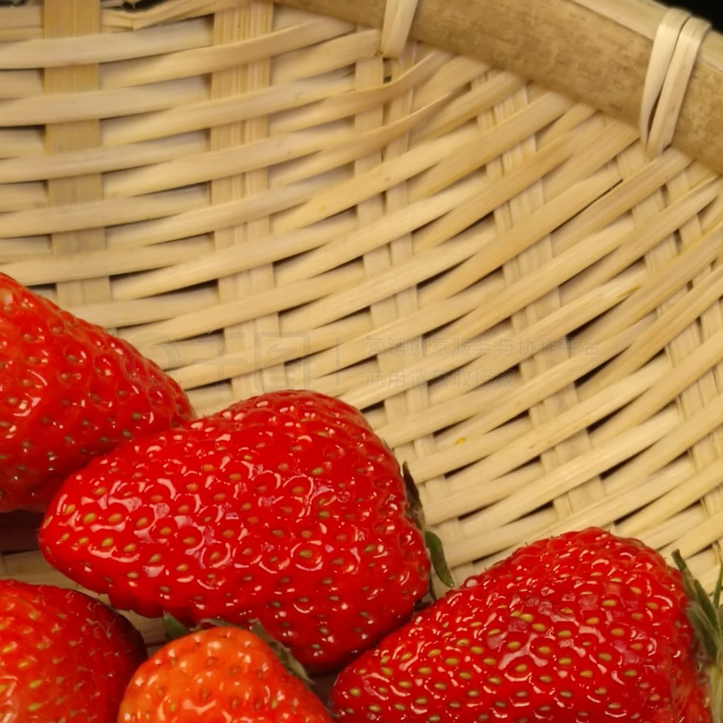 蘑菇app下载 部分冷门领域活跃度有待提升