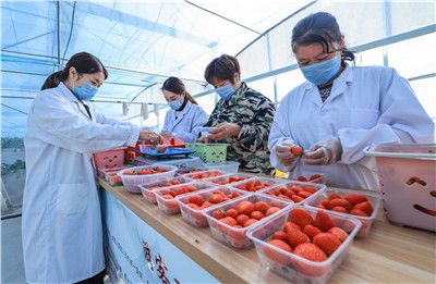 538国产亚洲欧美日韩精品