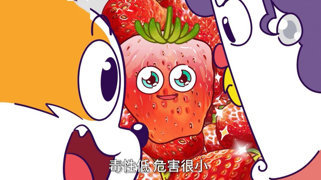 taolu视频 如“xx英雄连招套路”