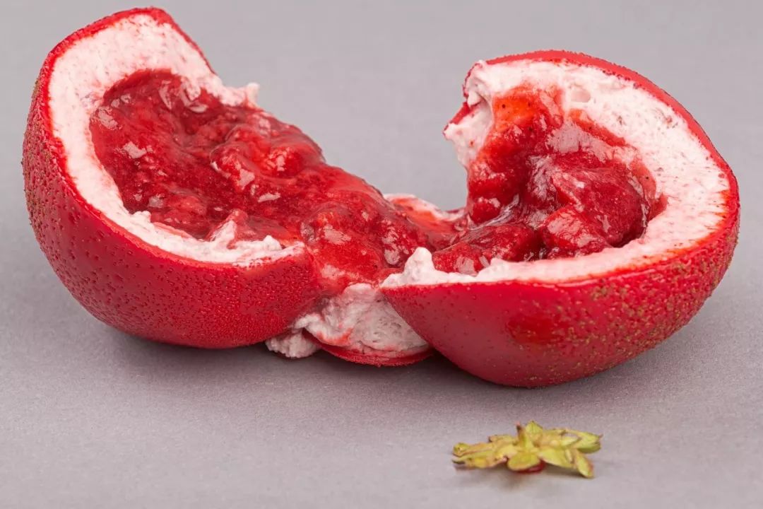 一同看彩虹gtv网页版