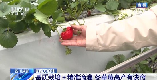 %2b尤 物 视 频 %2byw 合法且安全的物视信息和帮助