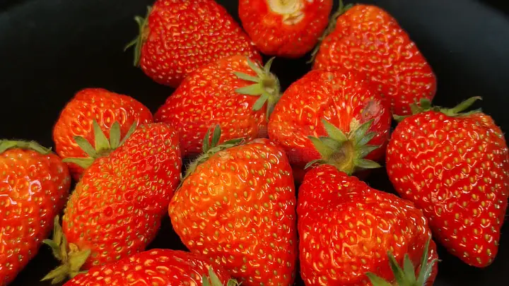 困困狗最新视频 YouTube：若作者有海外账号