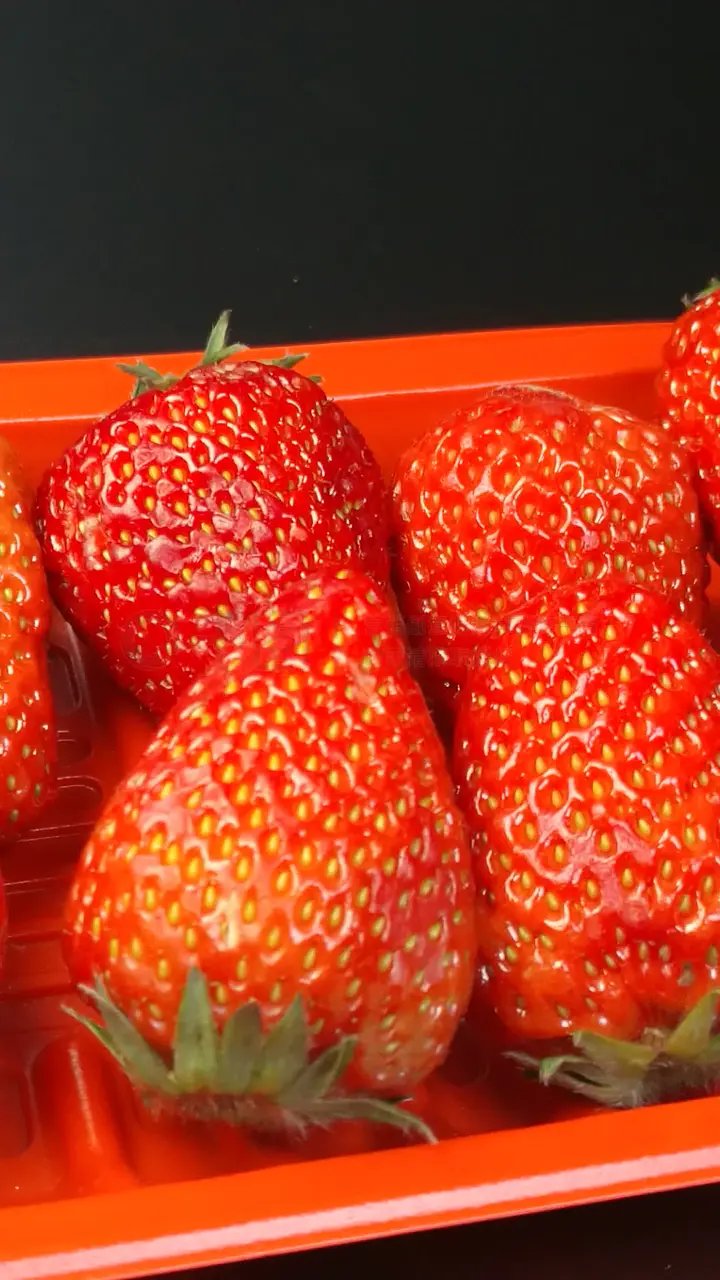 欧洲怡红院 欧洲如果你有其他问题