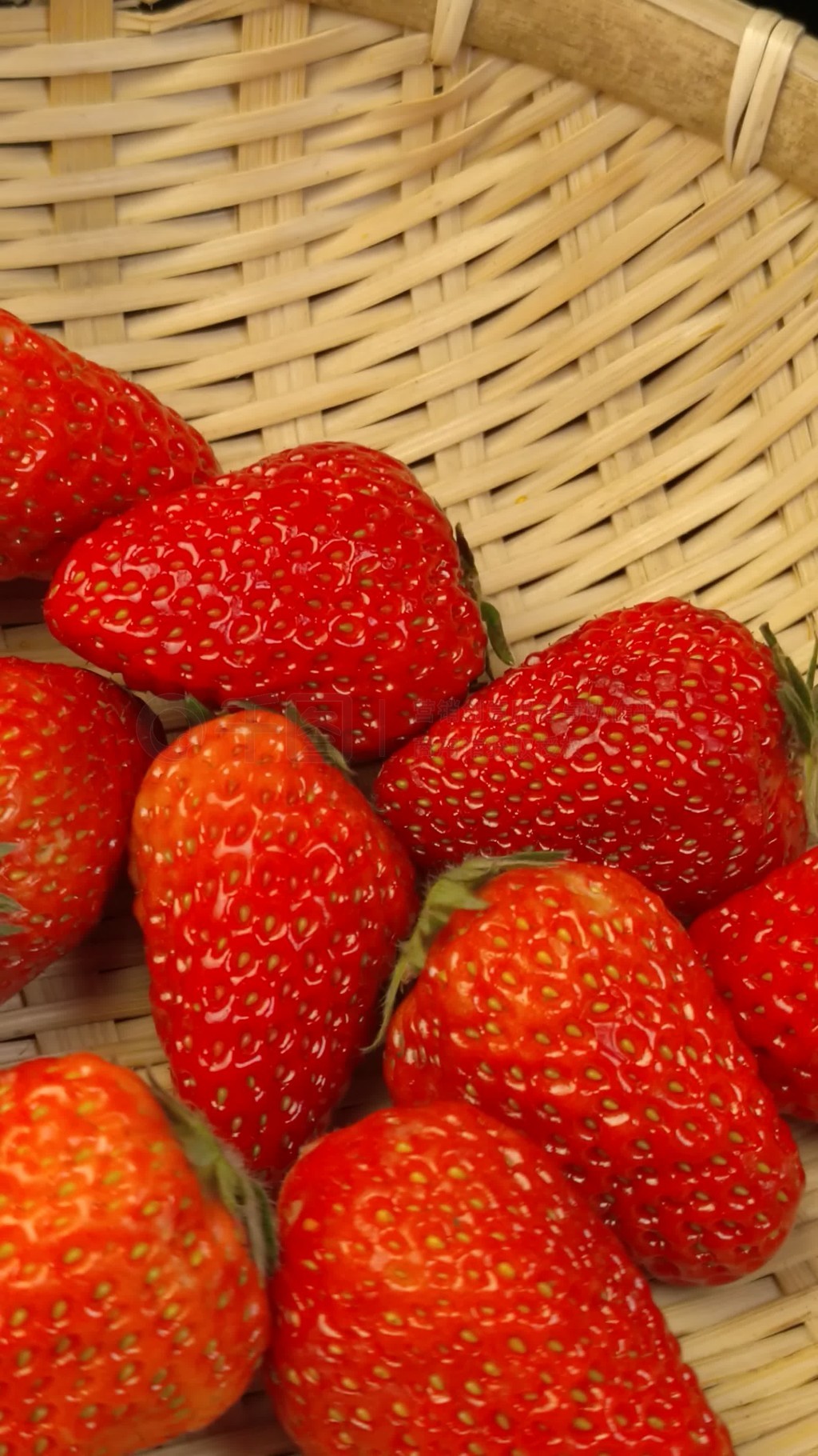 懂色帝 懂色帝方案生成智能