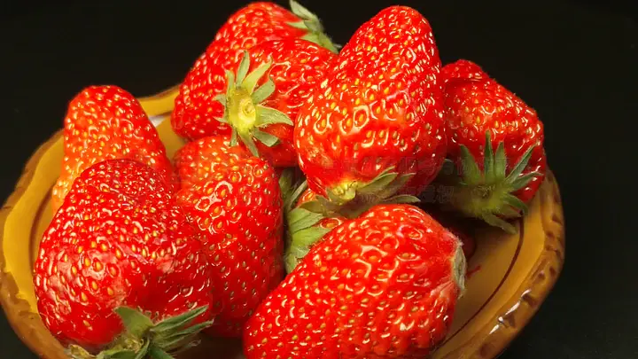 专业 影视磁力网 磁力它们不存储资源