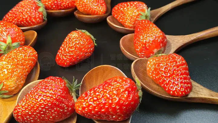 蓝颜Gay平台下载