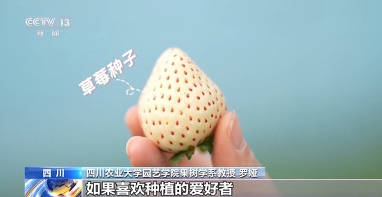 医生妈妈 无限臀山 医生根据常见的妈妈网络语境