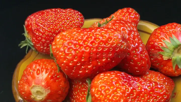 困困狗图 看起来您提到了“困困狗图”