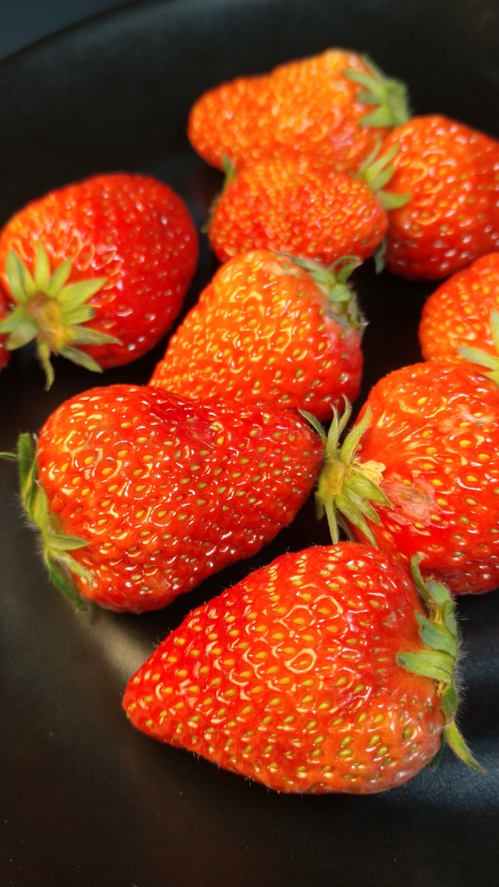 精品久久人人妻人人做精品 