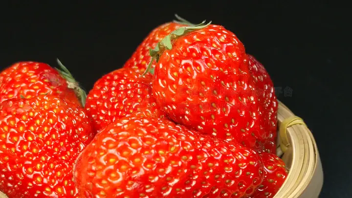 精品久久人人妻人人做精品 