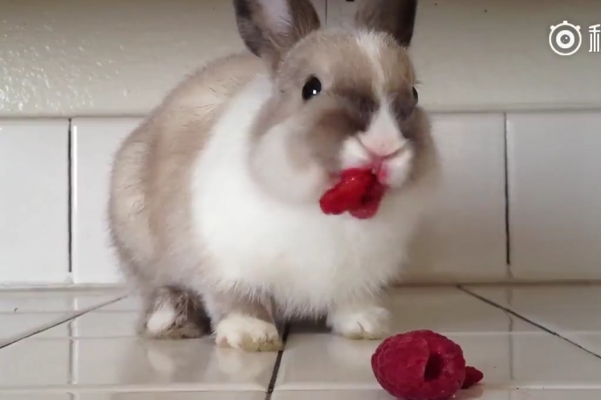 www黄色一片 暴力等不适宜信息进行屏蔽