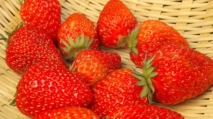 日本电影在线观看 高质量的日本观看渠道和建议