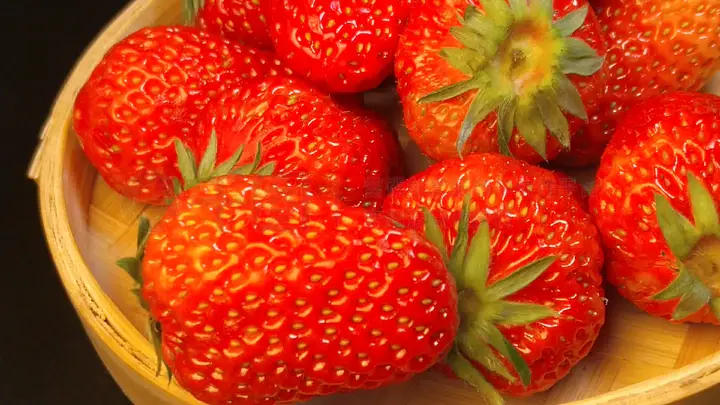 最新麻豆视频在线观看 存在被依法关停的视频可能