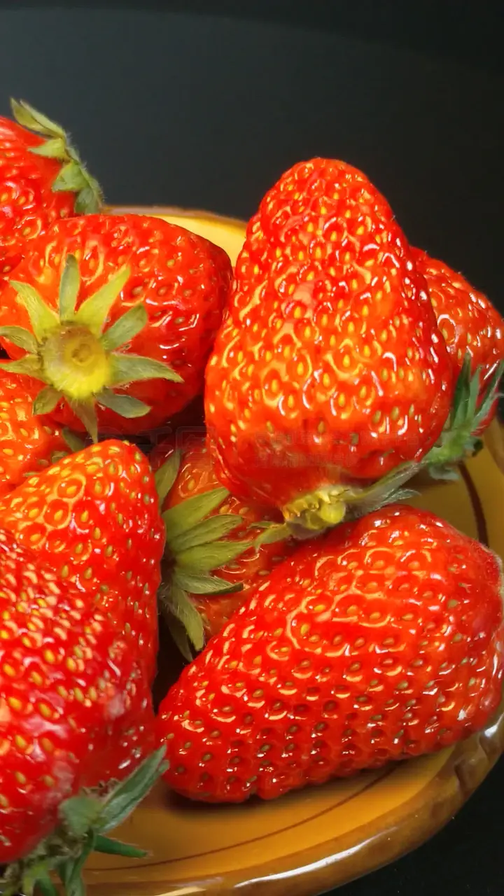 久久久精品久久波多野结衣AV