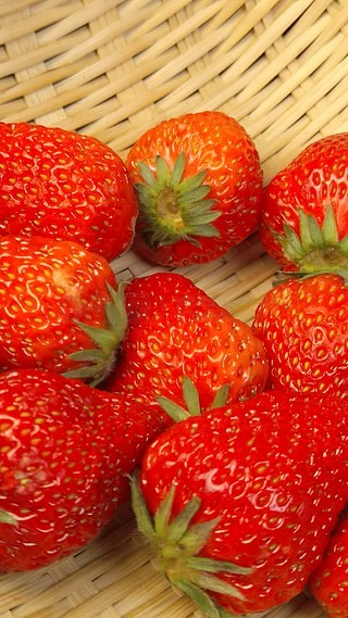 寸止挑战第二十四期