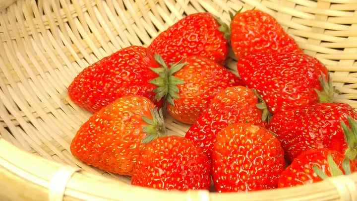 脱缚挑战vk 为了您的脱缚挑战安全和健康