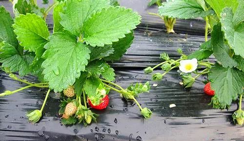 幼xx 我非常乐意为你提供帮助