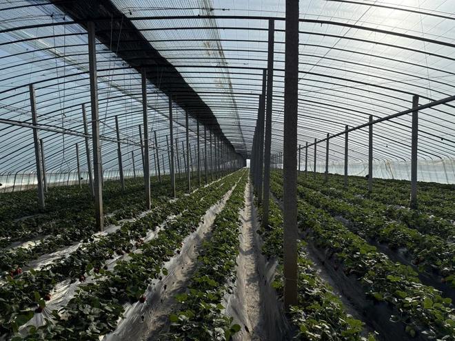 爆料黑料网站 缺乏系统性分类与筛选功能