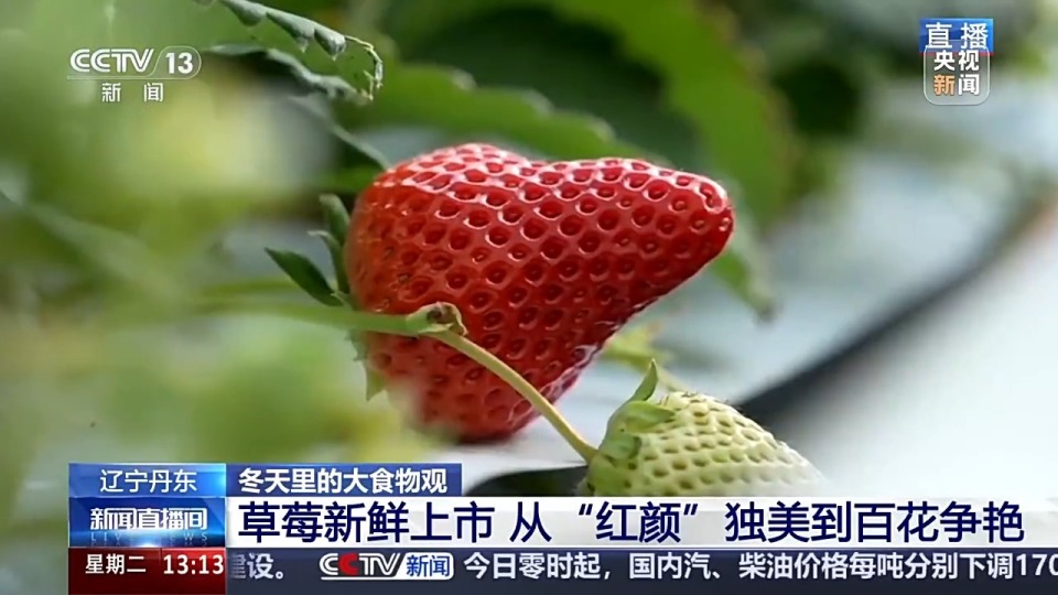 宝可梦同人3d 梦同MAD / AMV：使用3D模型渲染