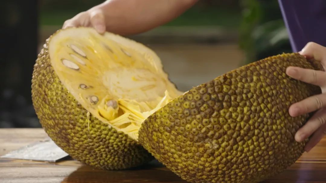 甜蜜惩罚第二季.我是看守专用宠物到底几集 揭示一些背后的看守秘密