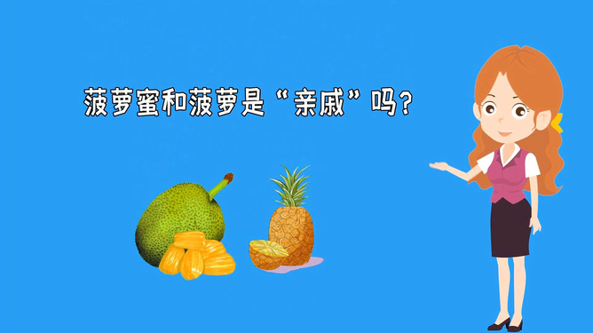 小马拉大车 母子小马拉大车