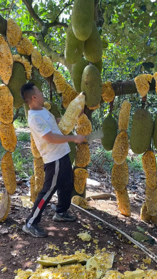罗湖中学未成年 未成保护当事人隐私