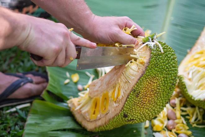 罗湖中学未成年 未成保护当事人隐私
