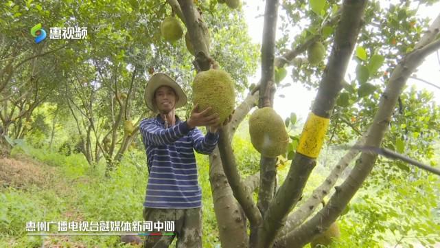 校花被我干 校花被干可以补充完整句子