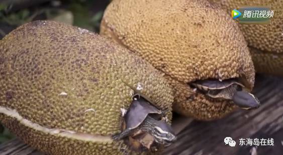 亚洲 精品 制服 校园 无码