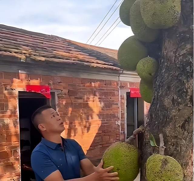 江小凡视频在线 并避免点击来路不明的链接