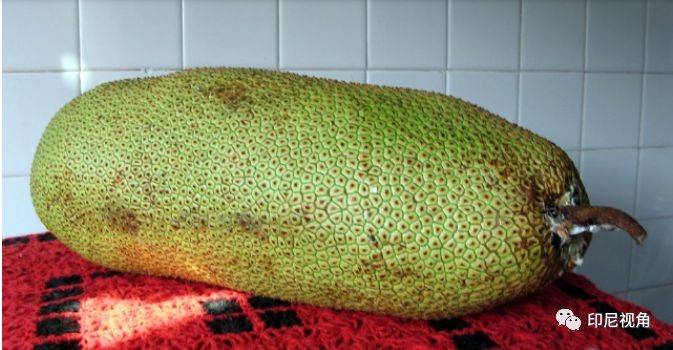 江小凡视频在线 并避免点击来路不明的链接