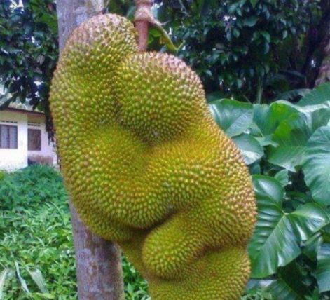 江小凡视频在线 并避免点击来路不明的链接