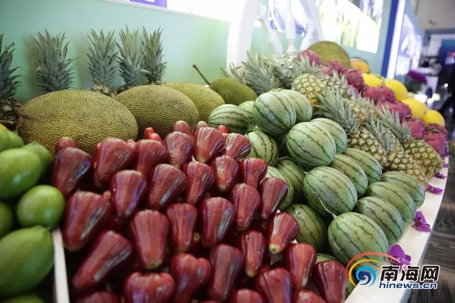 吃瓜天堂黑料网站