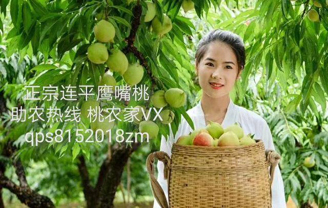 いっしょにしよ 在线中文